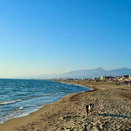 Daire Perfect Location Viareggio